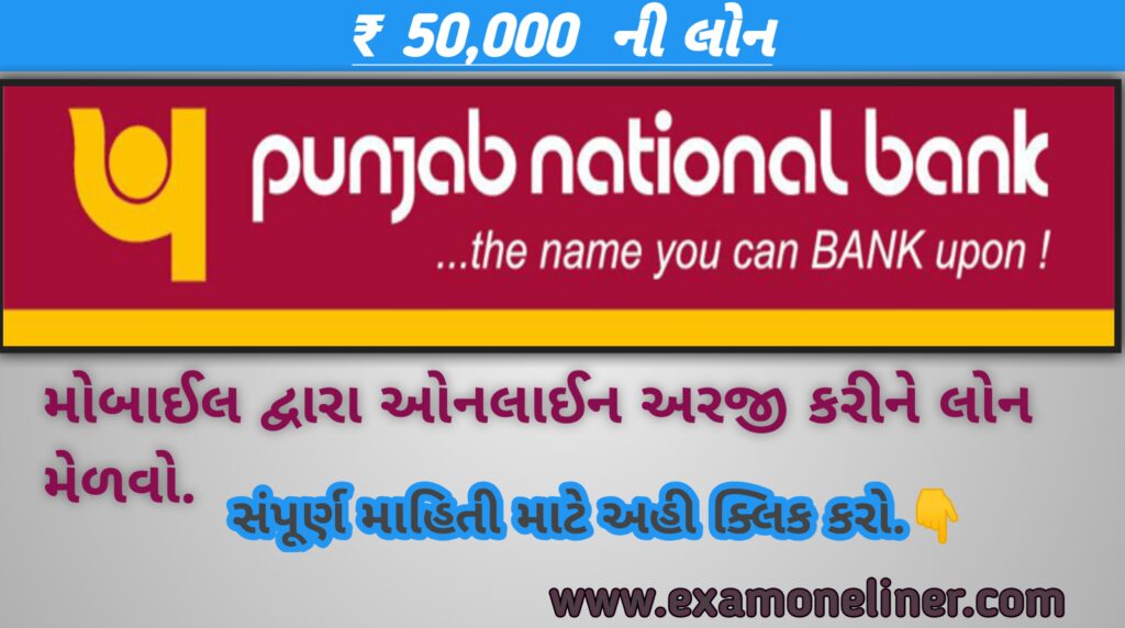 Punjab National Bank E Mudra Loan