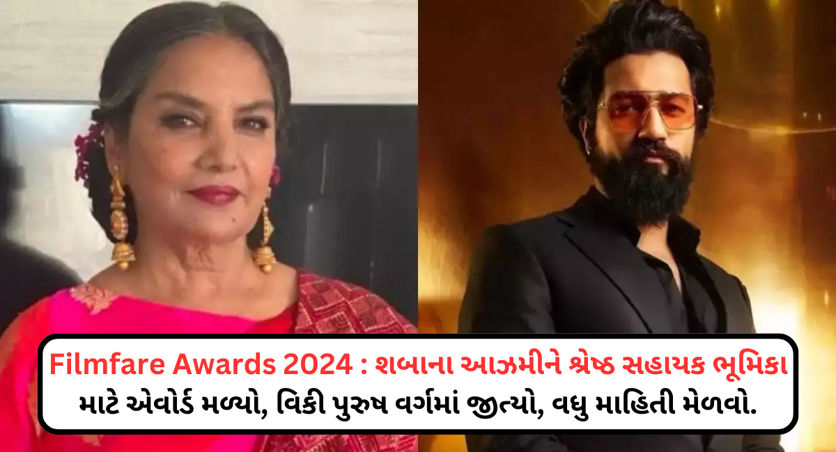 Filmfare Awards 2024